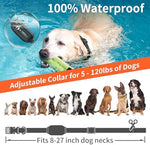 PaiPaitek multi dog training system highlighting the secure prongless design on the receiver straps.