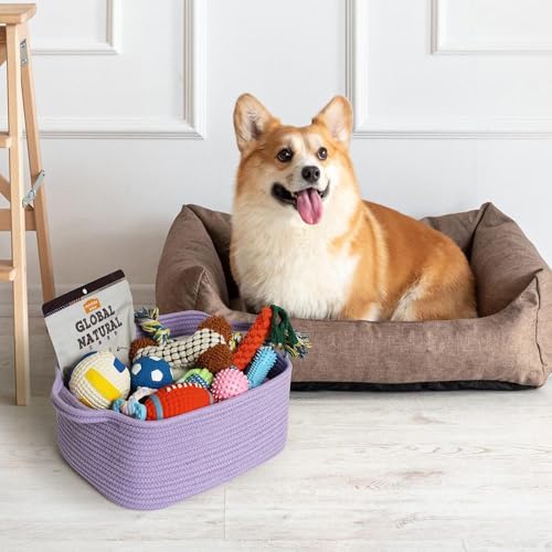 MEGASKET rectangle purple storage bin used as a dog toy organizer on a living room floor.