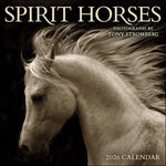 Spirit Horses 2026 Wall Calendar by Tony Stromberg - Image 2