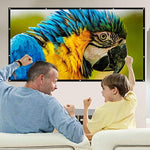 Outdoor movie night setup utilizing the 150 inch foldable projector screen attached securely to a frame