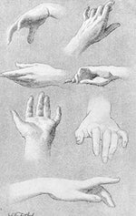 The Human Figure - Image 6