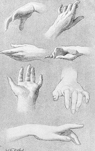 The Human Figure - Image 6