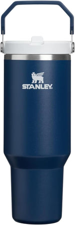 Stainless steel vacuum insulated flask with built in carry handle