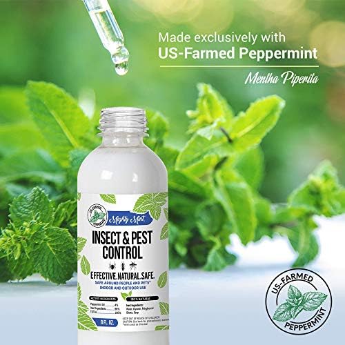 8oz Insect and Pest Control Peppermint Oil - Natural Spray for Spiders, Ants, and More (2) - Image 5