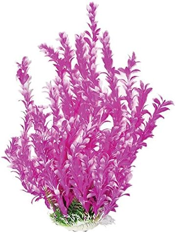 Aquatop 16 Inch Bacopa-Like Aquarium Plant front view