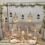 Full packaging view of the seven pieces premium imported holiday home accent lighting kit highlighting the lush leaf density.