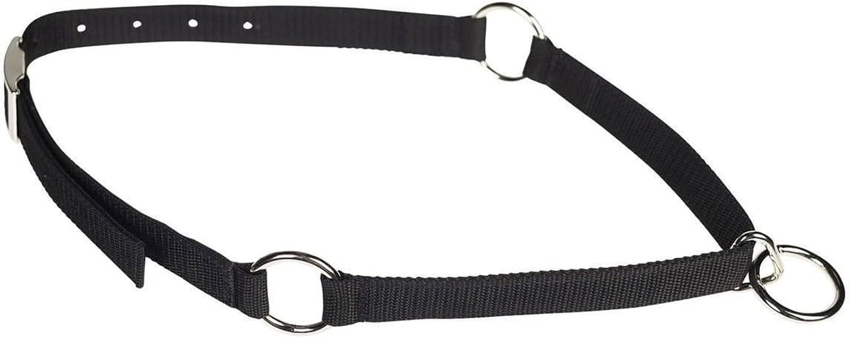 Mustang horse neck collar front view featuring durable red poly webbing and secure nickel plated hardware.