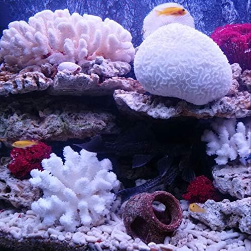 Premium aquarium landscape accessories featuring twin white polyresin corals