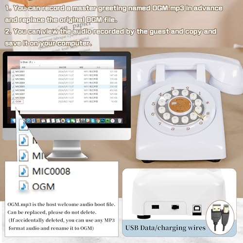 FiayaCom 32GB audio guestbook phone handset detail