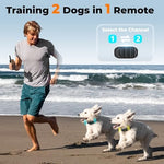 Dual dog training device with beep vibration and shock modes
