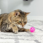 Close up view of the durable non toxic plastic construction and slotted design of the Spot cat toy.