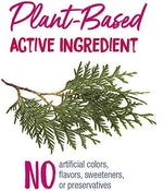 Boiron Thuja 30C bonus pack packaging showing 240 quick-dissolving pellets.