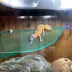 Close up of suction cup mounting for reptile habitat