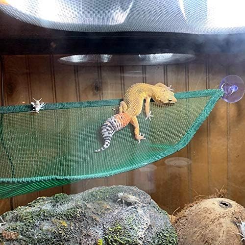 Close up of suction cup mounting for reptile habitat
