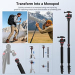 NEEWER Basics 72" / 182 cm Travel Tripod Monopod for Camera, Compact Lightweight Portable Video Recording Stand, Arca Type Ball Head, Cell Phone Holder Compatible with iPhone, Max Load 13.2 lb, TP14B - Image 7