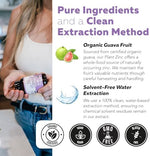 Triquetra Health non-GMO plant-based zinc vitamins for daily antioxidant support