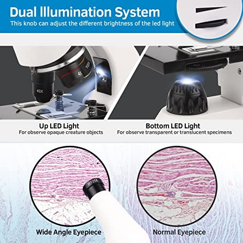Microscope for Adults Kids, 40X-2000X Compound Biological Monocular Microscope Kit for Kids Students Beginners Lab Home School Education - w/Slides Set, Phone Adapter, Power Adapter (White, Metal) - Image 5