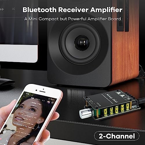 Hosyond DIY home speaker receiver module showing auxiliary input and DC power jack ports