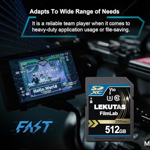 Lekutas professional camera memory card inserted into a DSLR slot