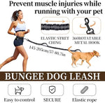 High visibility reflective stitching on a black hands free pet leash.