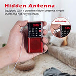 Prunus J-328 portable radio held in hand for size reference