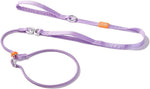 HowGo Slip Lead Dog Leash with Padded Handles | Lightweight Dog Training Leash with 360 degreesSwivel Anti-Tangle | Heavy-Duty Lead and Collar for Large Medium and Small, No-Pull Walking (Black, 5.5FT) - Image 12