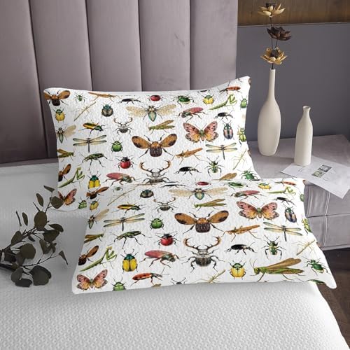 Top view of the ladybug and moth print bedding set