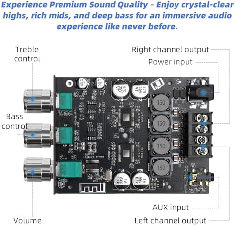 Cozychord dual channel stereo amplifier module top view detailing clearly labeled ports and terminal interfaces.