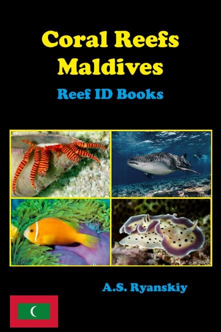 Coral Reefs Maldives: Reef ID Books - Image 1