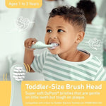 Close up of soft DuPont bristles on Pure Enrichment toddler toothbrush replacement heads.