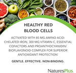 NaturesPlus Hema Plex Iron supplement nutrition facts label detailing chelated iron and vitamin c ingredients