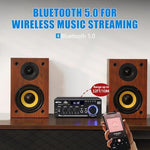 Woopker compact Bluetooth 5.0 audio amplifier with USB port and SD card slots for wireless streaming.