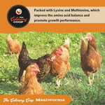 Resealable bag of Flukers chicken snacks containing essential amino acids lysine and methionine.