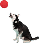 Jolly Pets Tuff Flyer front view flying disc dog chew toy