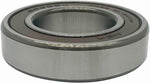 NSK 6006 DDUCM bearing steel cage structure