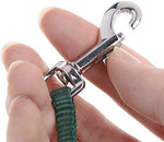 Small to medium parrot wearing an Asocea green training harness