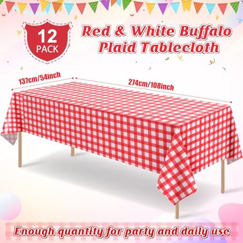 Close up of red and white gingham plastic tablecloth texture