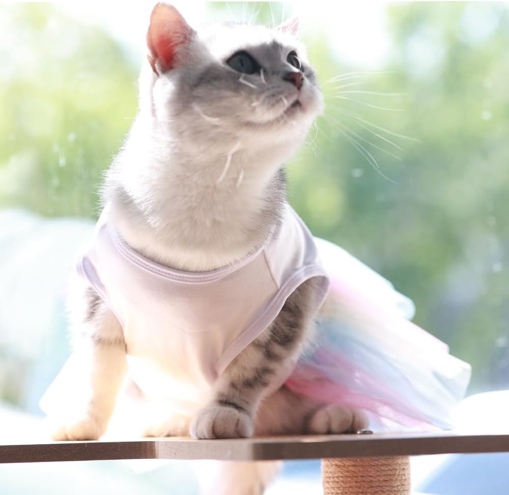 ANIAC pet clothing sleeveless vest styling angle
