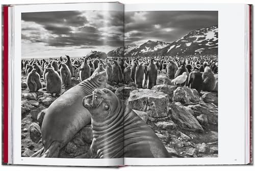 SebastiÃ£o Salgado. Genesis. 45th Ed. (45th Edition) - Image 6