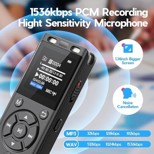 Tonfarb dictaphone sound recorder displaying the menu options and password setup screen