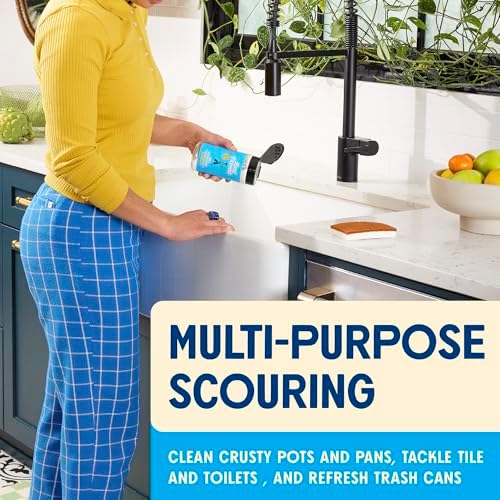 Aunt Fannie's 16 ounce Sink Refresher packaging details