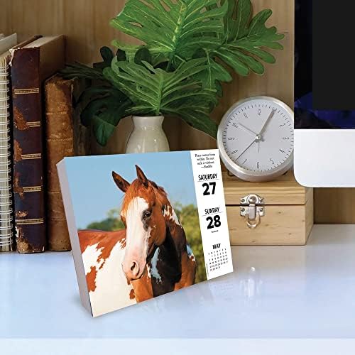 What Horses Teach Us 2023 Box Calendar - Image 6