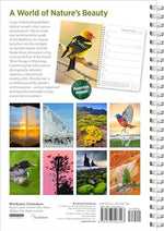 Audubon Engagement Calendar 2025: A Tribute to the Wilderness and Its Spectacular Landscapes - Image 3