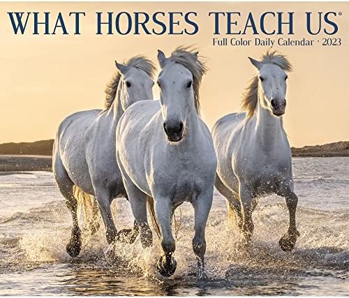 What Horses Teach Us 2023 Box Calendar - Image 7