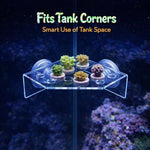 Kcrygogo 2 Pack clear acrylic reef frame with safe rounded corners