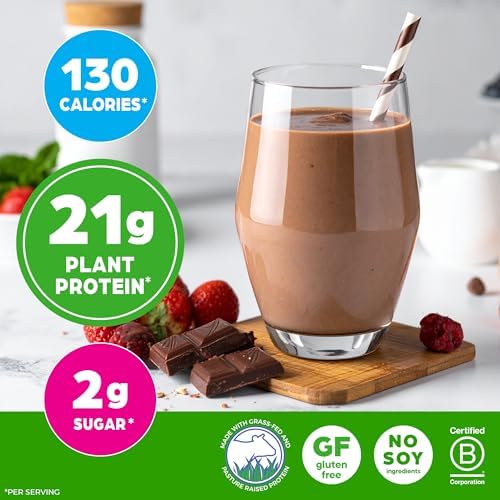 Orgain grass fed dairy protein powder scoop showing smooth chocolate texture