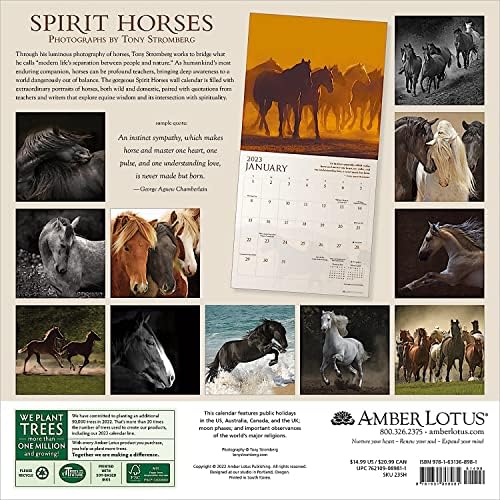 Spirit Horses 2023 Wall Calendar - Image 3