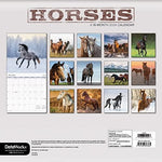 2024 Horses Wall Calendar - Image 5
