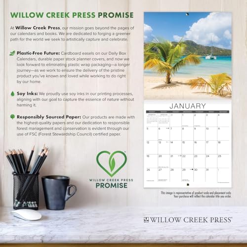 What Cats Teach Us 2026 Wall Calendar - Image 6