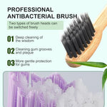 Comparison of biodegradable bamboo toothbrush head vs plastic sonicare refills
